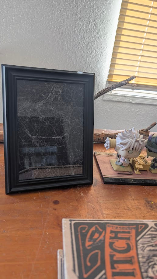 Framed Web of Mortality 5x7 – Preserved Spiderweb Art