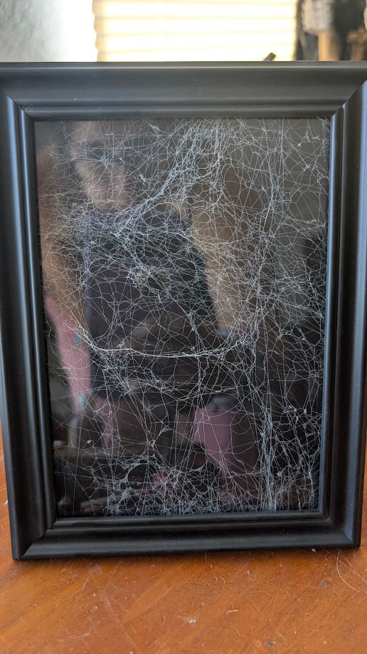 Framed Web of Mortality 5x7 – Preserved Spiderweb Art